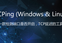 TCPing 一款检测端口是否开启和TCP延迟的工具