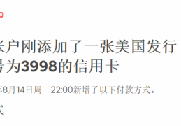 【虚拟信用卡】美国运通虚拟卡